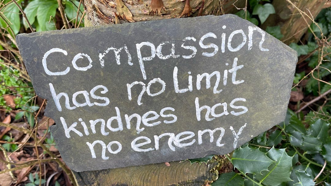 Finding Beauty in Kindness: A Reflection on Compassion