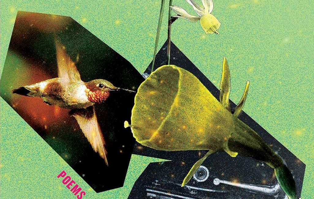 Alternator: Poems by Chris Banks