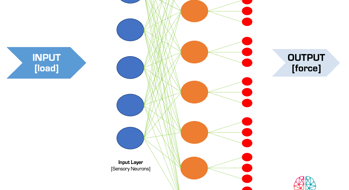 The Neural Net of Absolute Strength