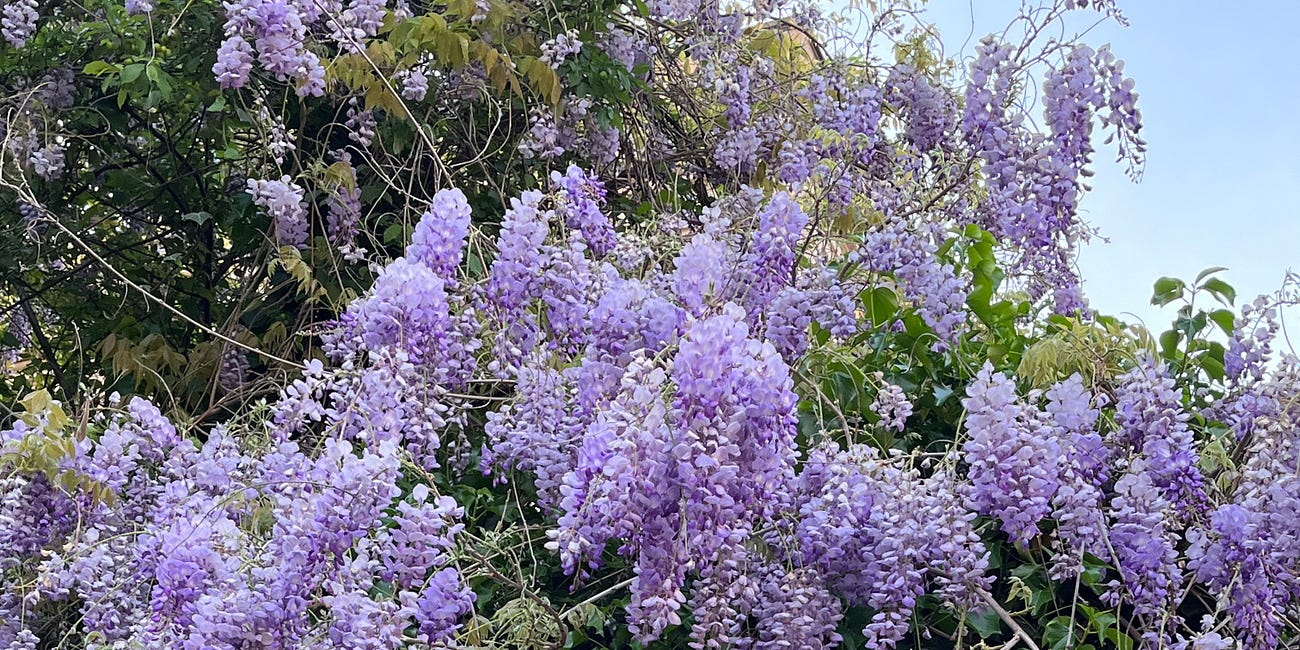 April in Rome