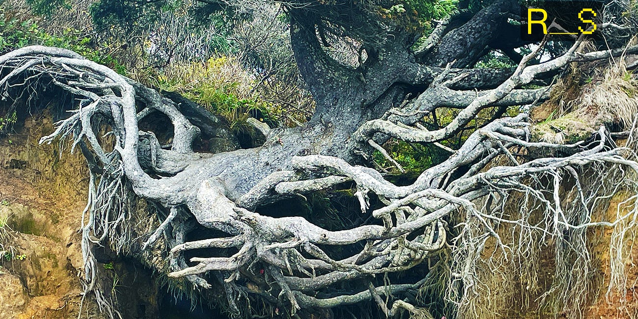 Resilience Explained: Your Comprehensive FAQ