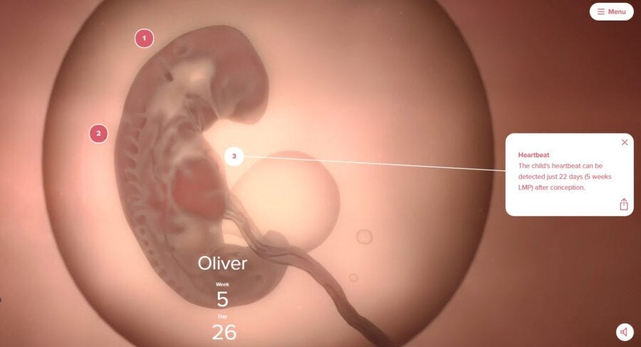 LiveAction Launches ‘Groundbreaking’ New ‘Window to the Womb’ Website
