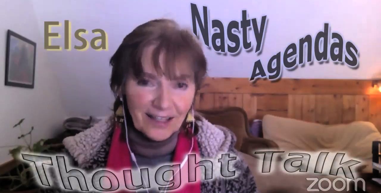 REPLAY: THOUGHT TALK #3 - NASTY AGENDAS. We're quick to recognize some nasty (untruth) agendas. Very dangerous: nasty agendas that are widely invisible, including to many "truthers."