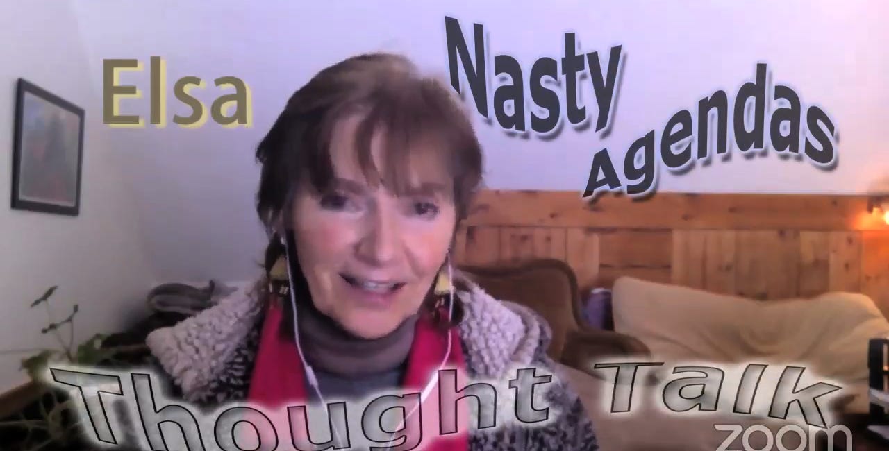 REPLAY: THOUGHT TALK #3 - NASTY AGENDAS. We're quick to recognize some nasty (untruth) agendas. Very dangerous: nasty agendas that are widely invisible, including to many "truthers."