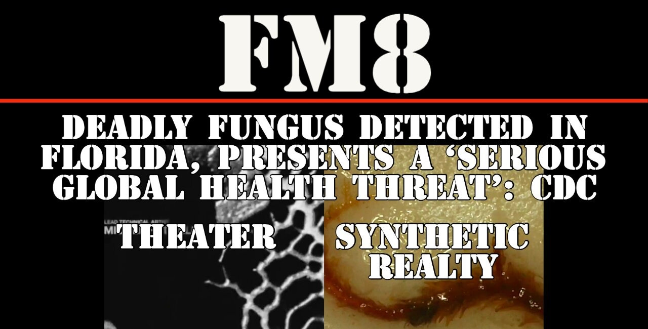 FM8 - MORE SYNTHETIC FUNGUS STRUCTURES FOUND