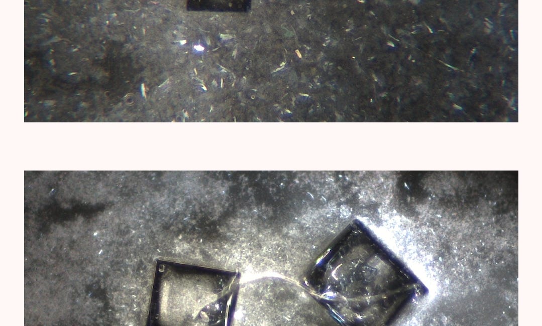 Nano tech under microscopy by Dr David Nixon Comirnaty sample 220802 as seen on the 221011 and 221012