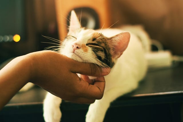Code Smell 230 - Schrödinger Code