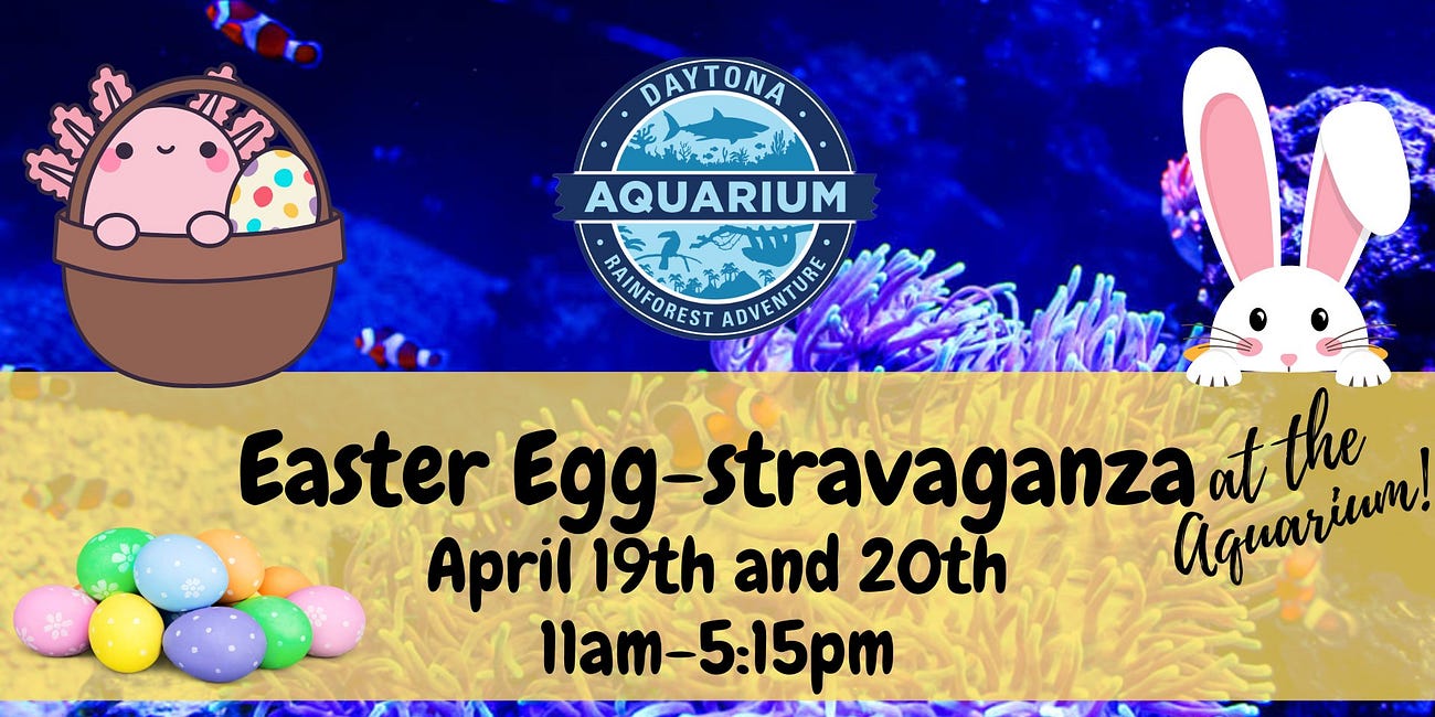 Easter Egg-Stravaganza at the Daytona Aquarium