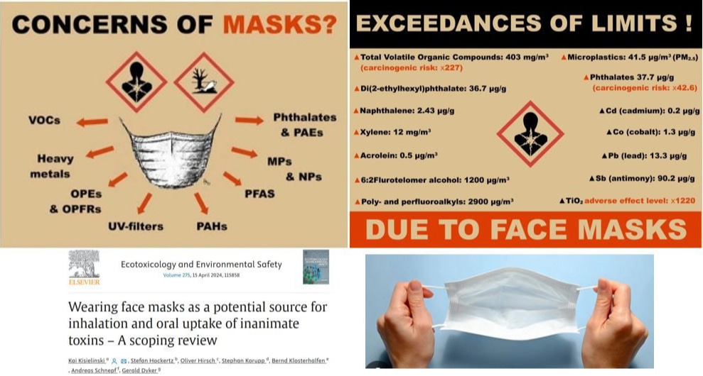 Wearing Face Masks as a Potential Source for Inhalation and Oral Uptake of TOXINS - Science Direct