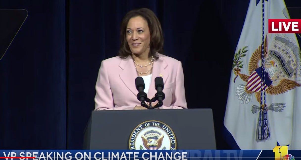 Kamala Harris népességcsökkentési terve (videóval)