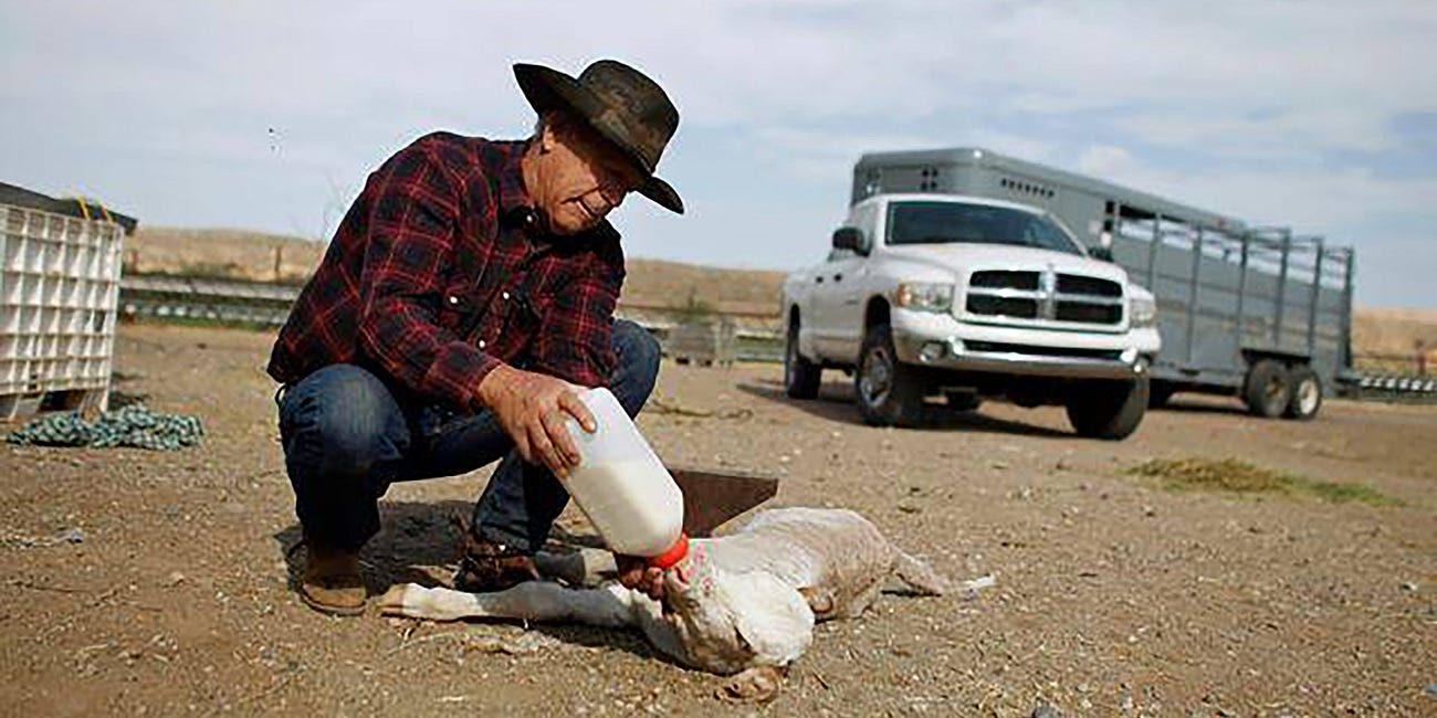 Cliven Bundy Cattle Standoff Is a Consequence of Illegitimate Government Claims on Land