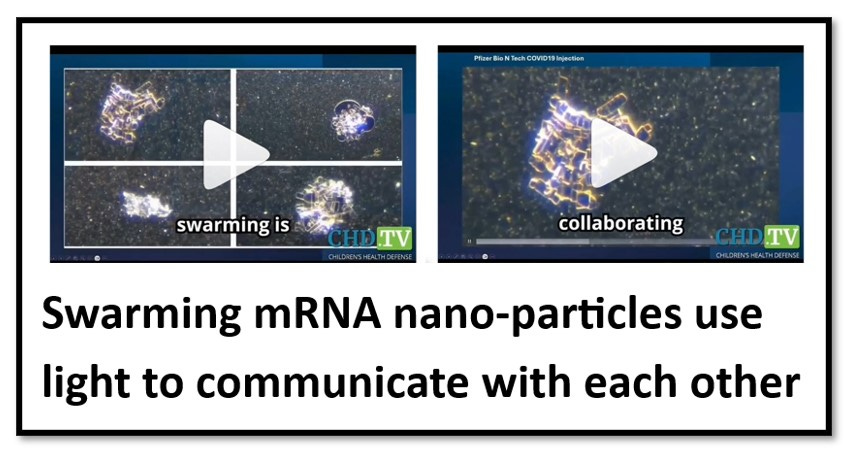 BOMBSHELL: Covid-19 mRNA Nanoparticles EMIT LIGHT SIGNALS That Communicate MAC Addresses Used For Self-Assembly Inside the Blood Vessels