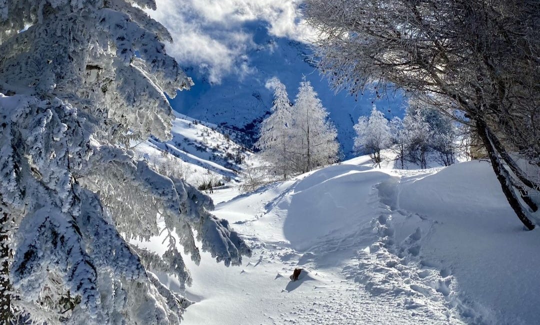 A meditation on Alpine snow