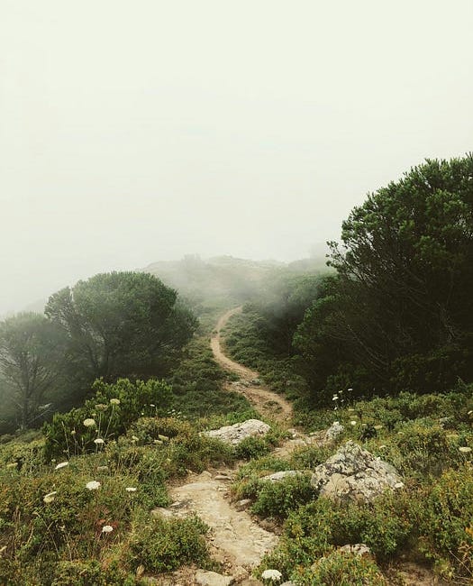 Create Your Path and Leave a Trail