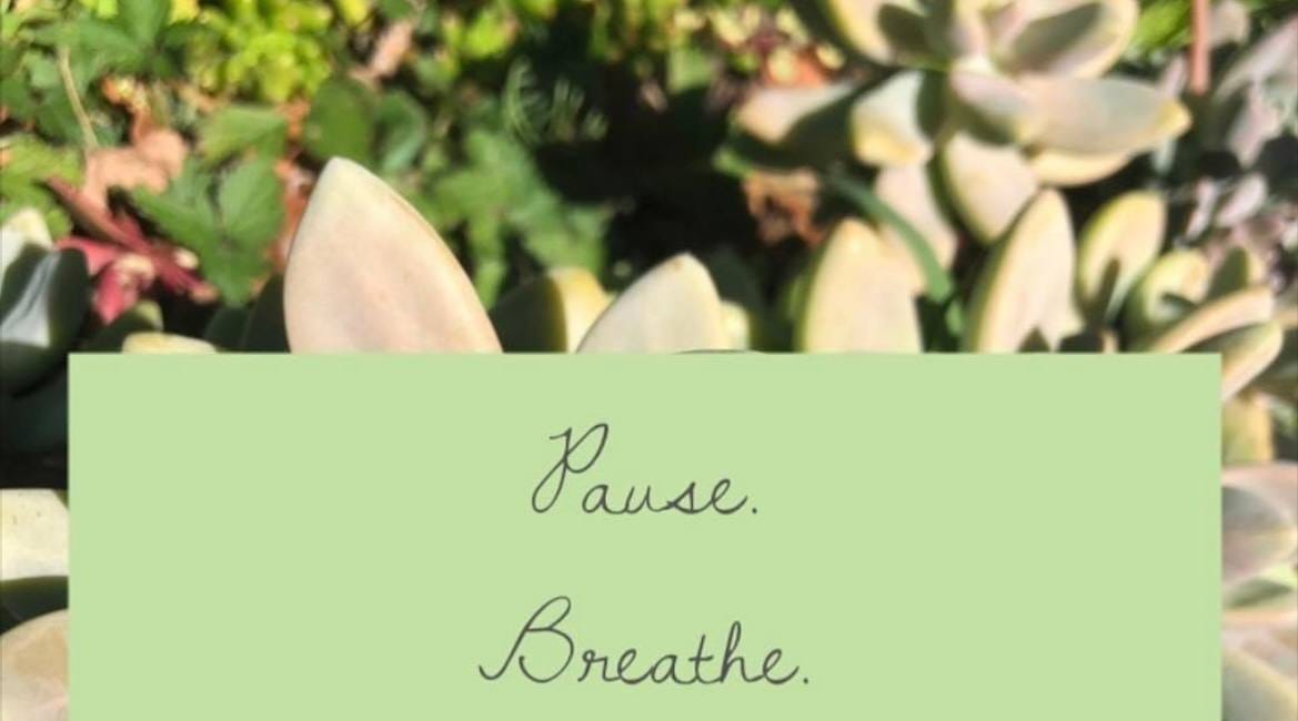Pause. Breathe. Repair Your Universe. Proceed.