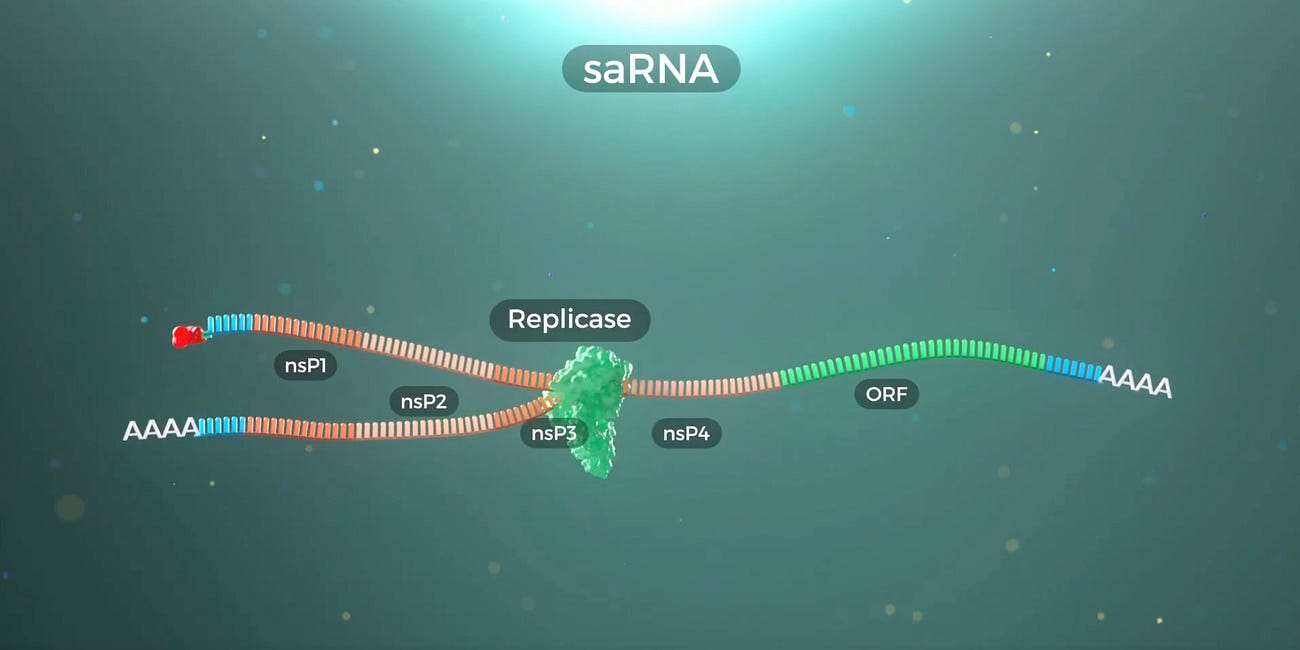 European Approval of Experimental COVID-19 Replicon mRNA Injections is a Grave Mistake