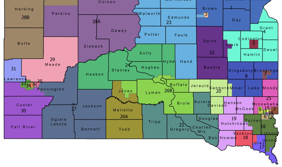 Hundreds of South Dakotans are running for Legislature. Here's the list