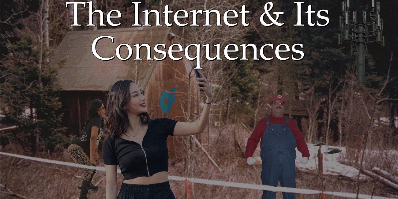 The Internet and Its Consequences