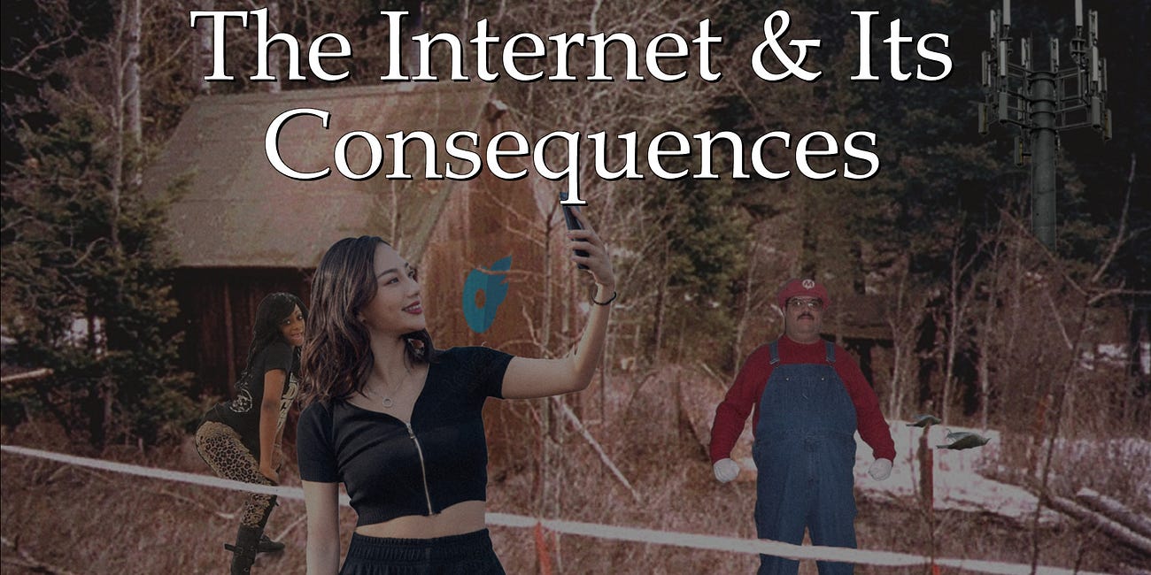 The Internet and Its Consequences