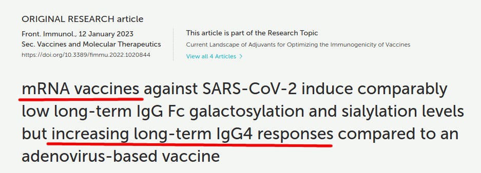 Imunitná tolerancia: Prechod na triedu IgG4 začína už po dvoch dávkach mRNA vakcín