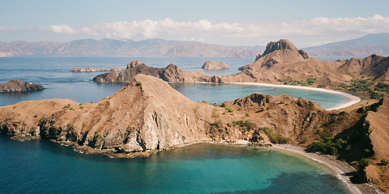 Flores On Film 