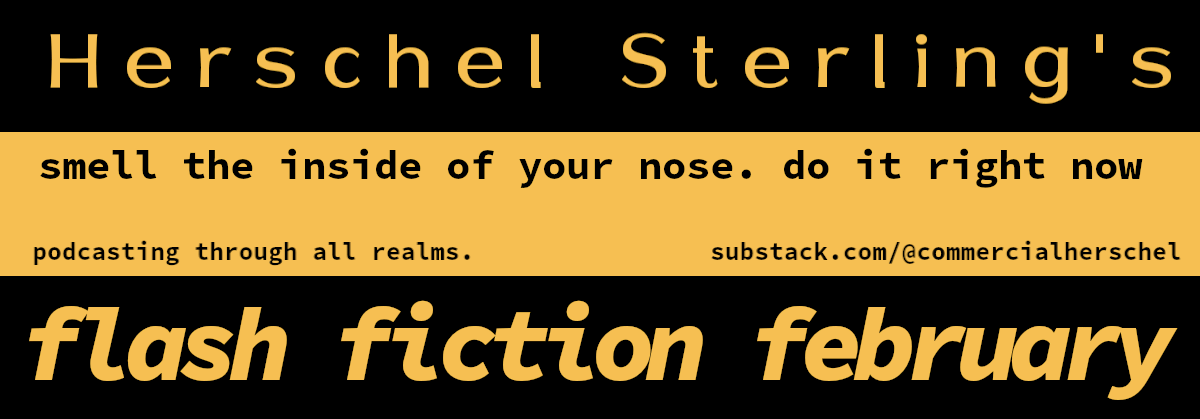 Flash Fiction February
