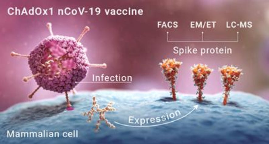 Does COVID19 vaccines defile you?