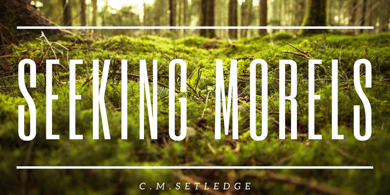 Seeking Morels | Chapter One: Part 3 (of 3)
