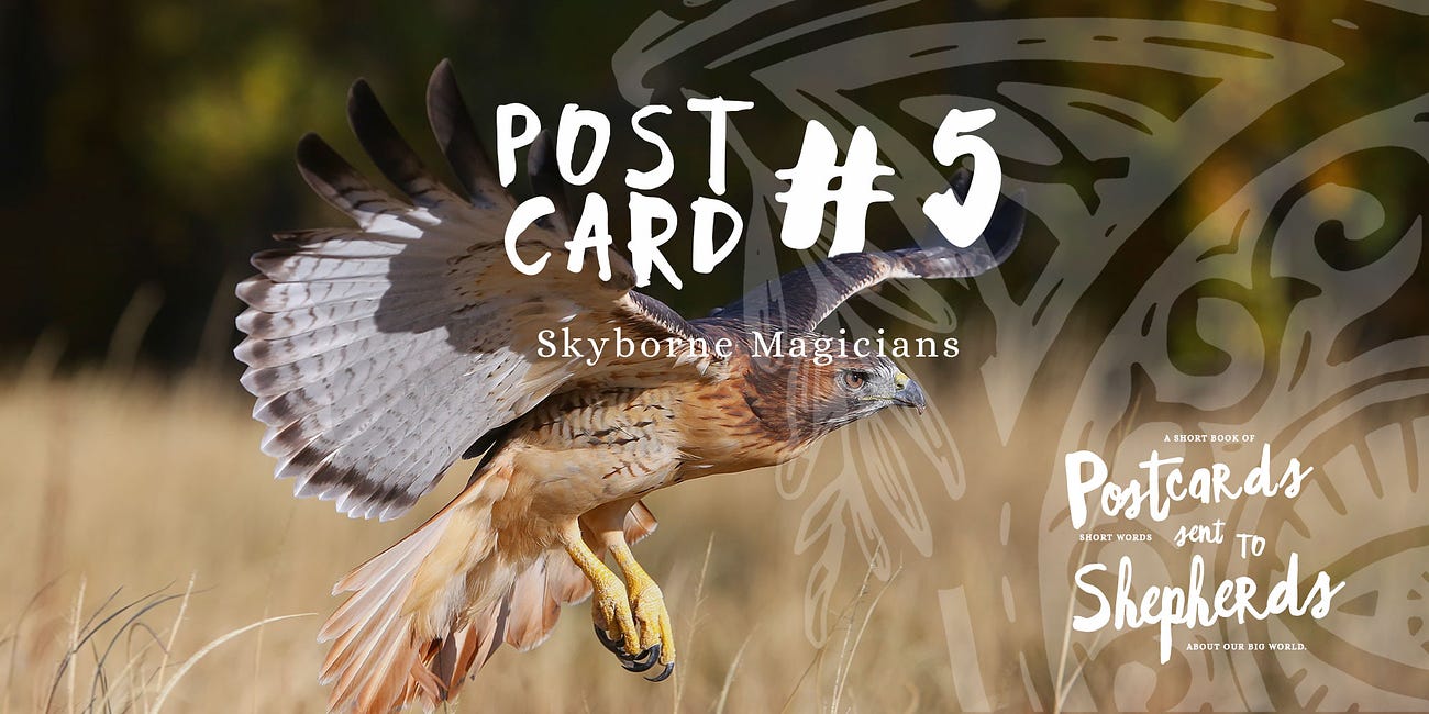 Postcard #5, Skyborne Magicians