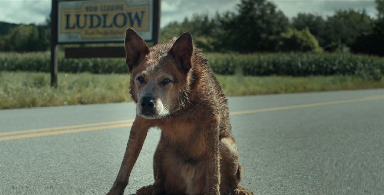Ludlow Turns Petulant In Paramount+'s 'Pet Sematary: Bloodlines' Trailer