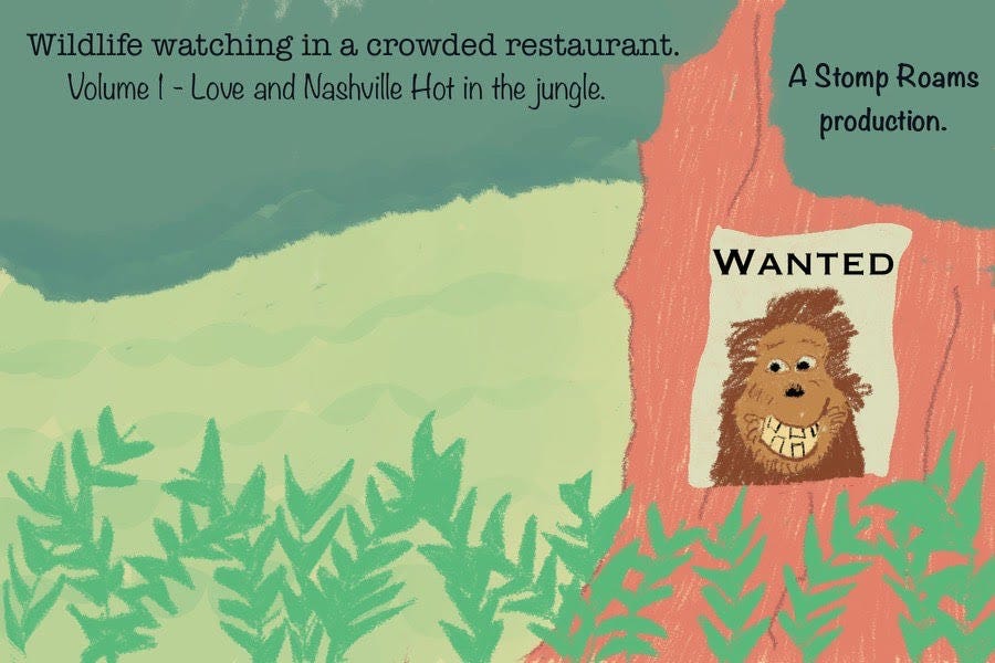 Wildlife watching in a crowded restaurant - Love and Nashville Hot in the jungle