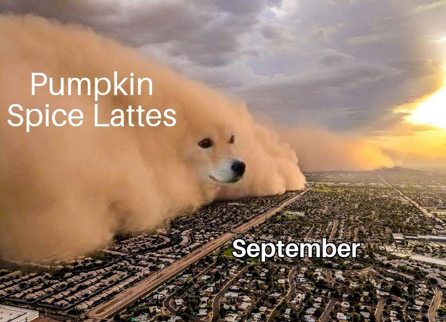 Autumn Meme Drop: No Pumpkin Spice!