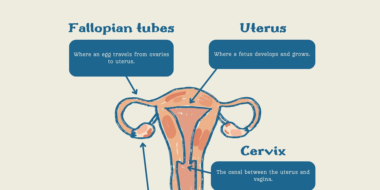 5 gynaecological symptoms never to ignore
