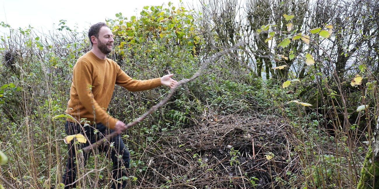 21 projects for starting a wildlife garden