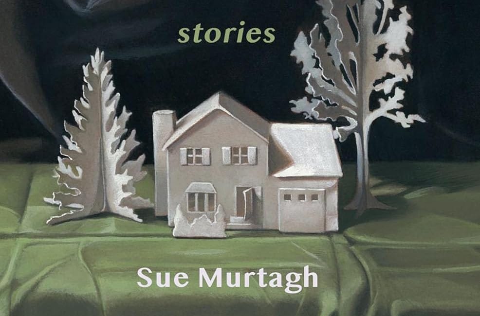 We’re Not Rich by Sue Murtagh