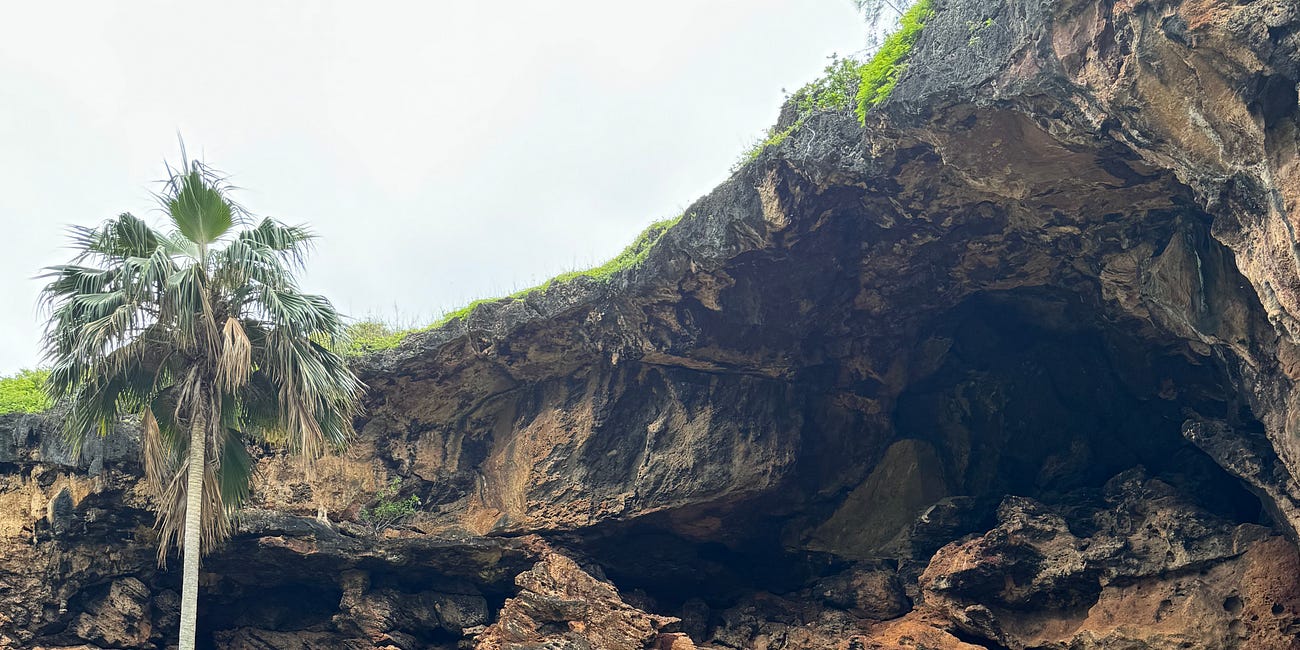 Makauwahi Cave Reserve
