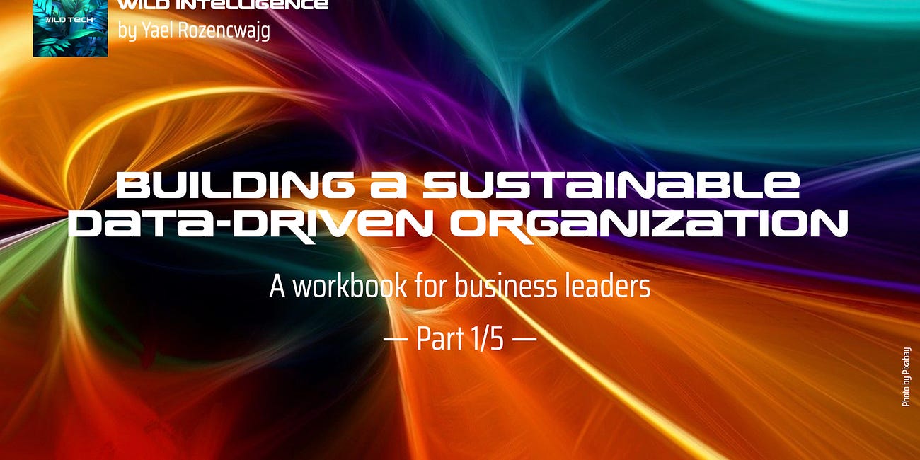 Workbook: Building a sustainable data-driven organization, part 1