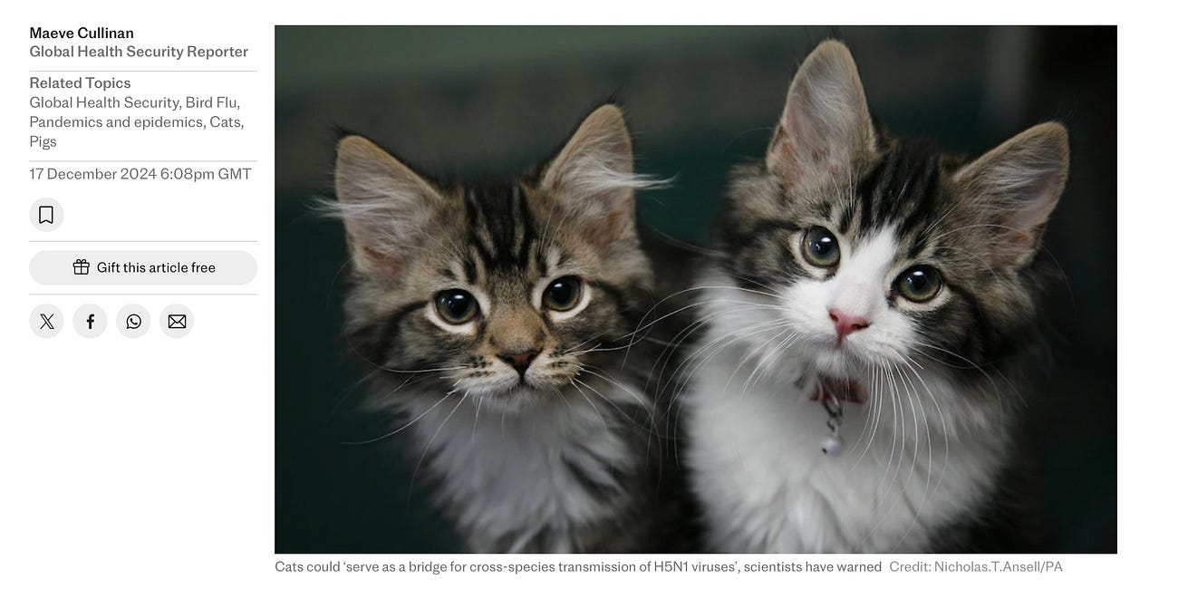 Satanic Powers That Should Not Be Want to MURDER OUR CATS