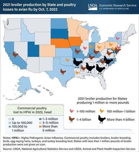 Why Does the USDA Order Nationwide Milk Testing For "the Bird Flu"?