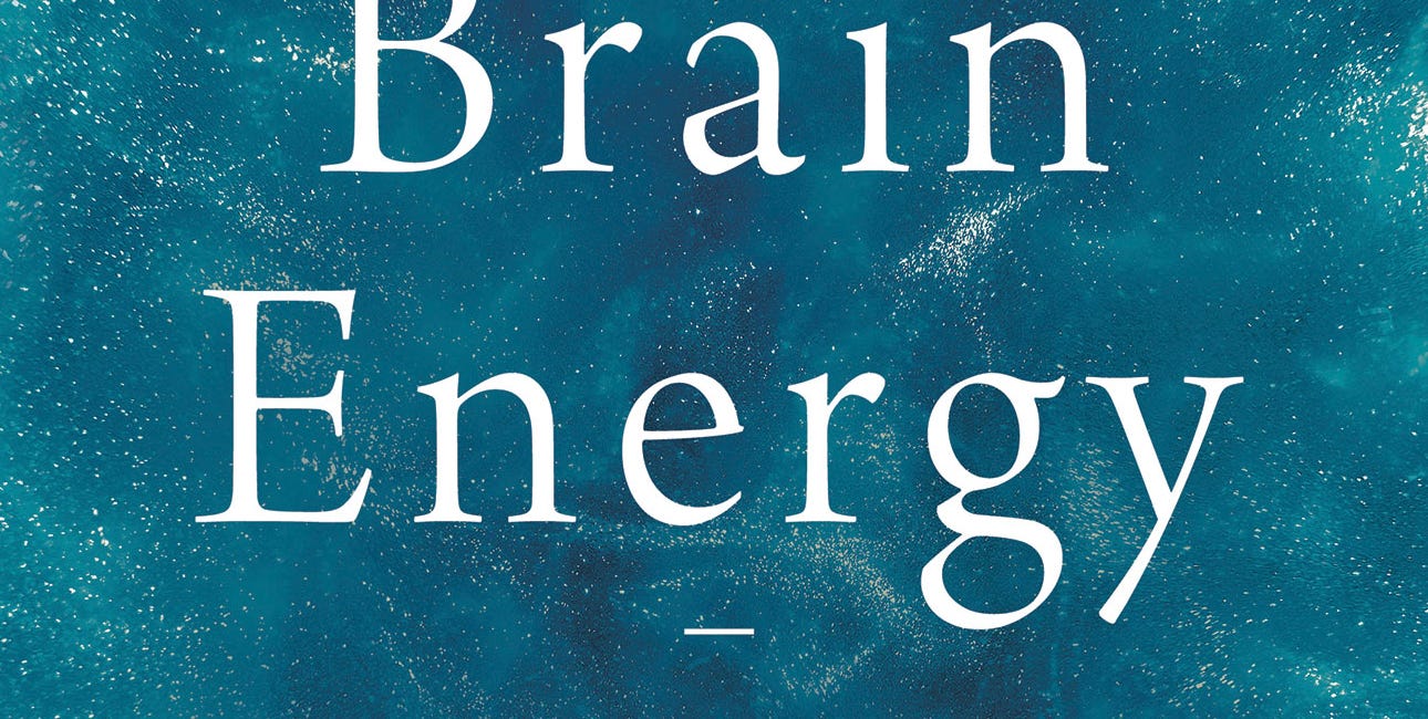 'Brain Energy' by Chris Palmer, MD (review)