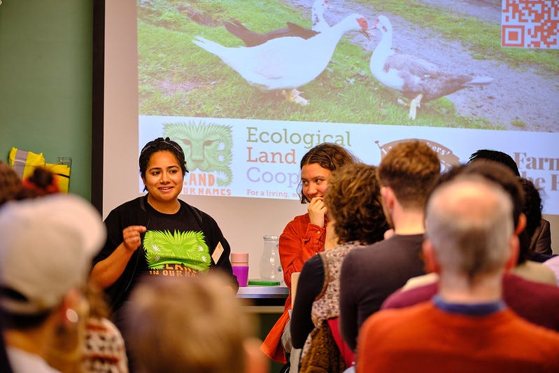 Envisioning Feminist Food Futures Through Agroecology
