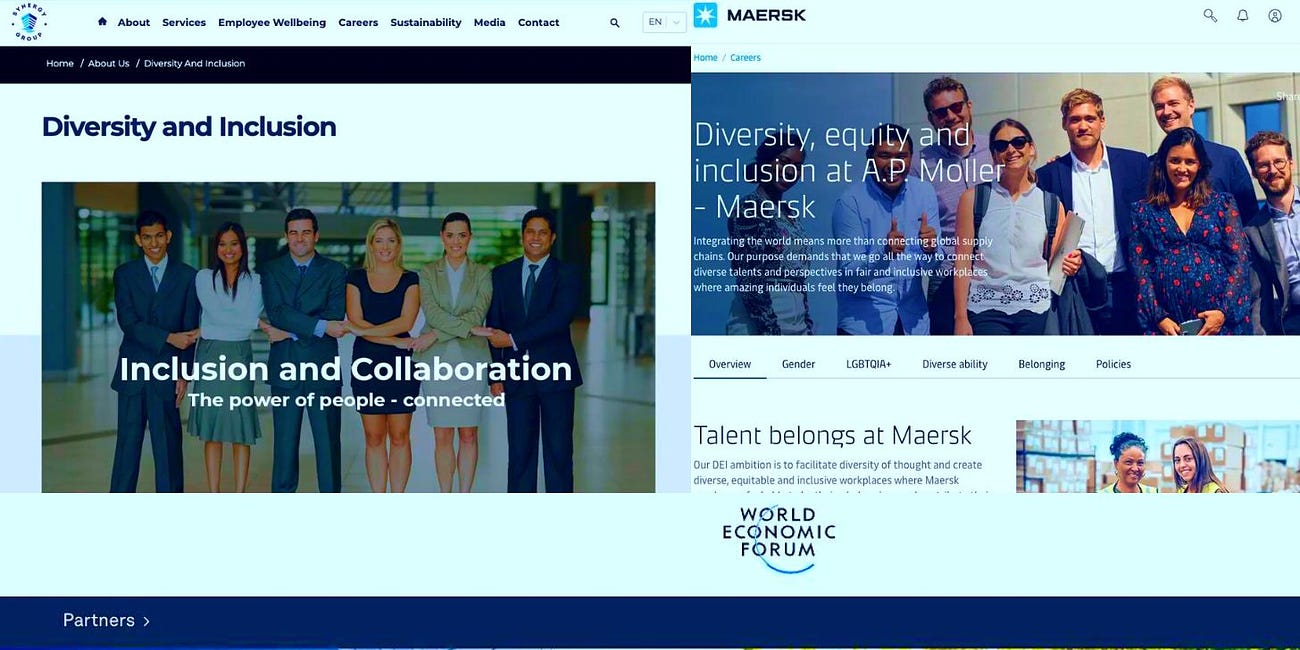 Both Charterer and Manager of Ship That Crashed Into Baltimore Bridge Are DEI-Pushing World Economic Forum Partners—Like Boeing: Maersk, Synergy Marine Group