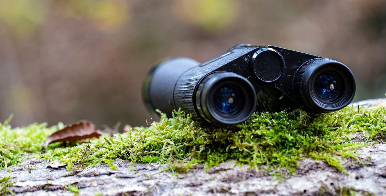 How to spot a changemaker: signs, habits, and habitat 