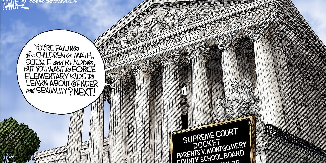 Michael Ramirez: On the Docket 4-29-25