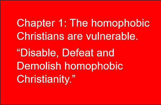 Chapter 1 – Homophobic Christianity can be brought down. They are vulnerable. 