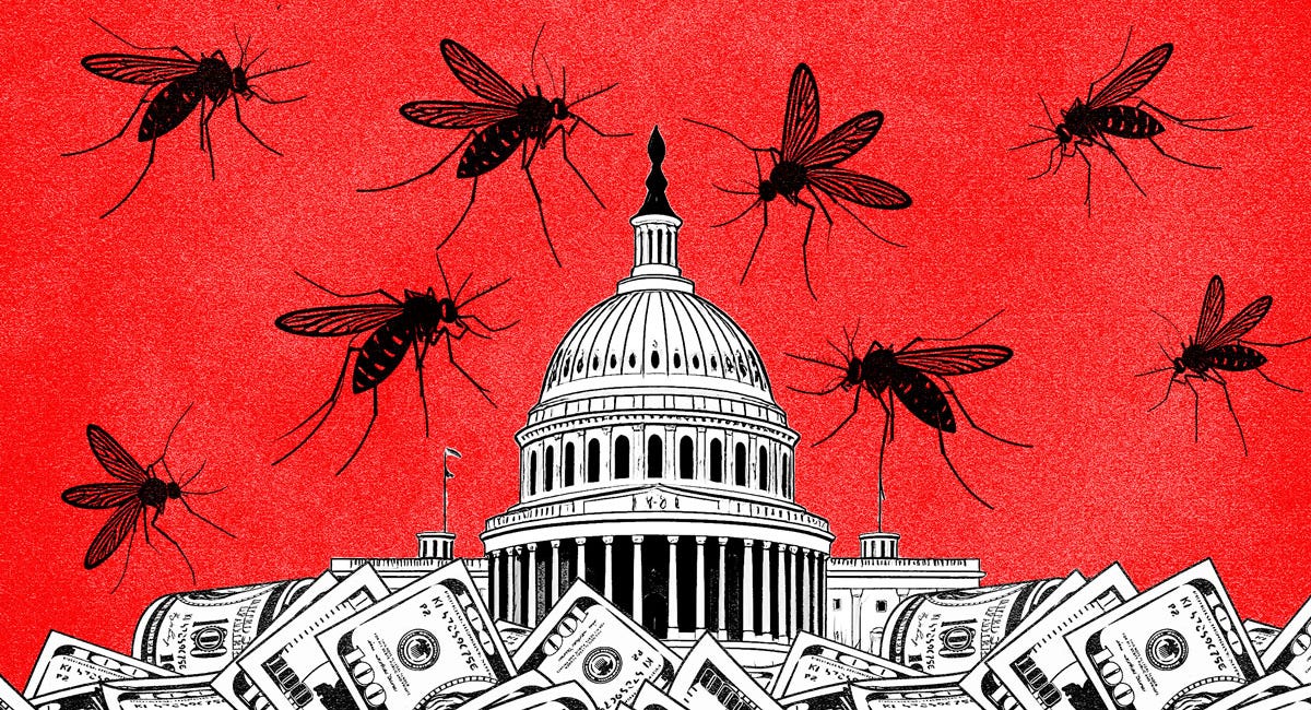 Drain the Swamp? MAGA Lobbyists Say They’re ‘Drinking from a Fire Hose.’