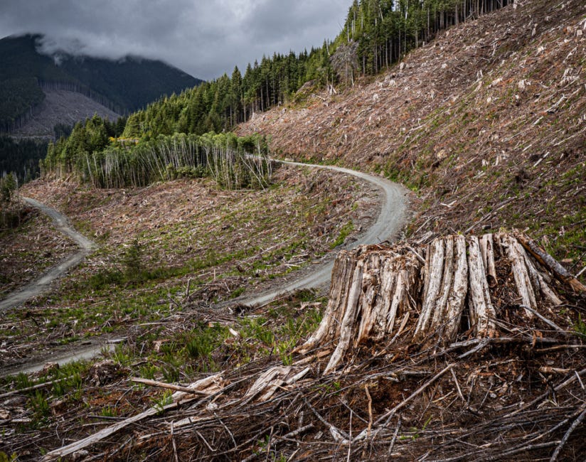 Death By A Thousand Clearcuts