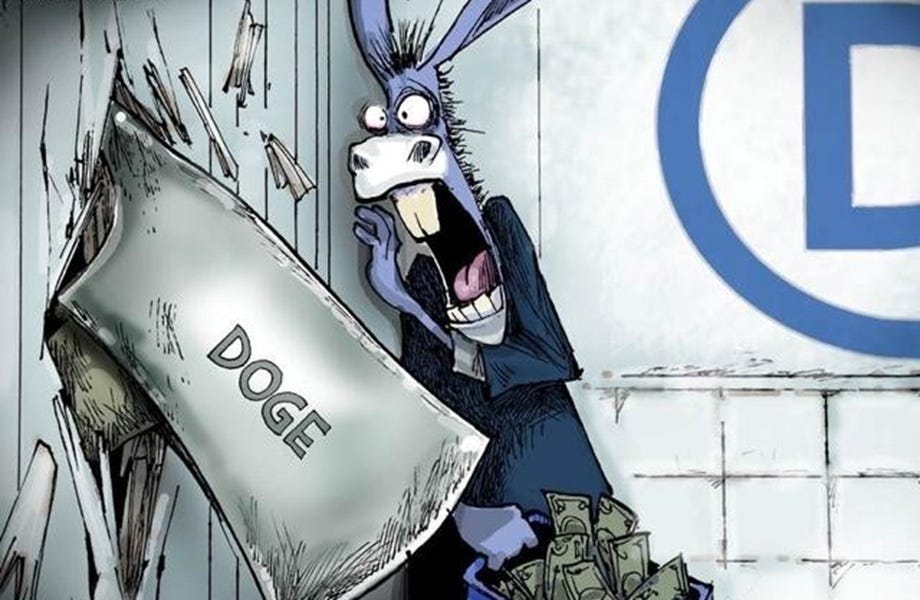 Democrats' Screams Are Music To Americans' Ears 