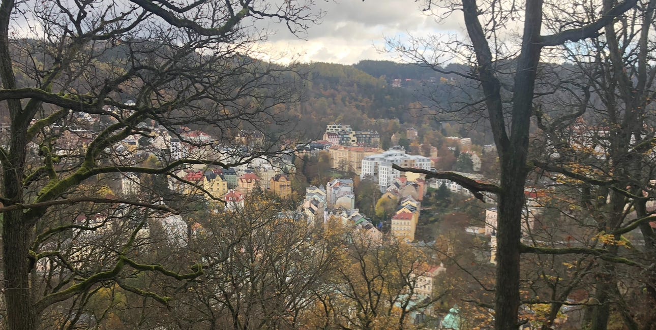 Daniella (part 16): hannah after europe, i 