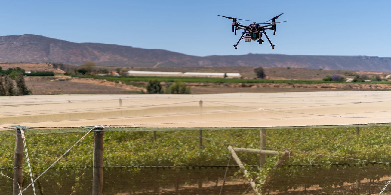 Drones in Agriculture: A Digital Revolution Taking Flight